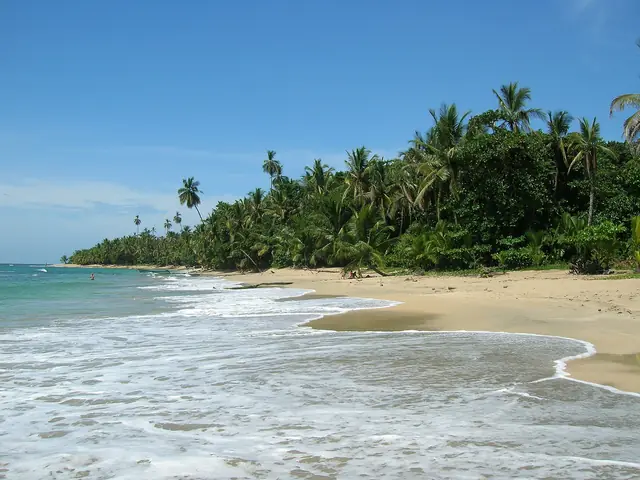 Playa de Punta Uva, a pocos kilómetros de Puerto Viejo