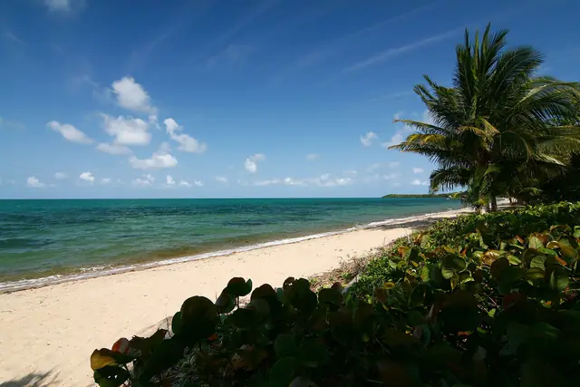 Almond Beach, playa caribeña en Hopkins